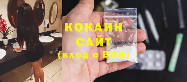 индика Волосово