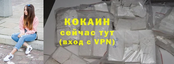 сатива Верея