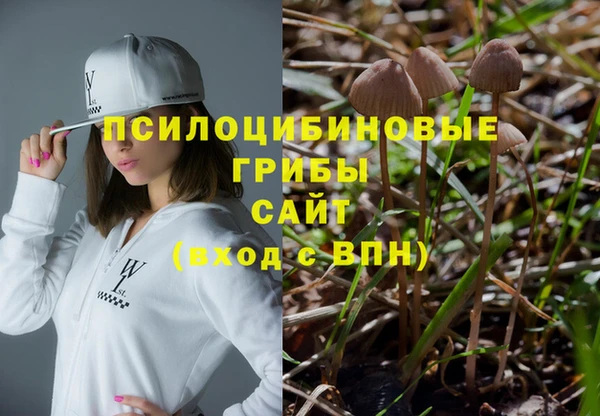 индика Волосово