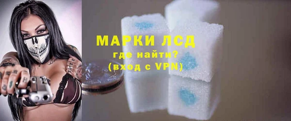 сатива Верея