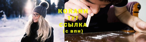 сатива Верея