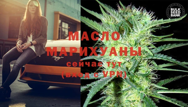 сатива Верея