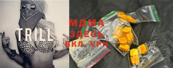 сатива Верея