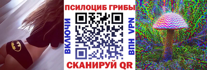 Псилоцибиновые грибы Psilocybine cubensis  Купить  Котельники 